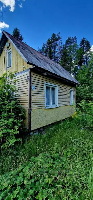 дом в карелия, прионежский район, нововилговское с/пос ул. нулевая, 17 . - Фото 1