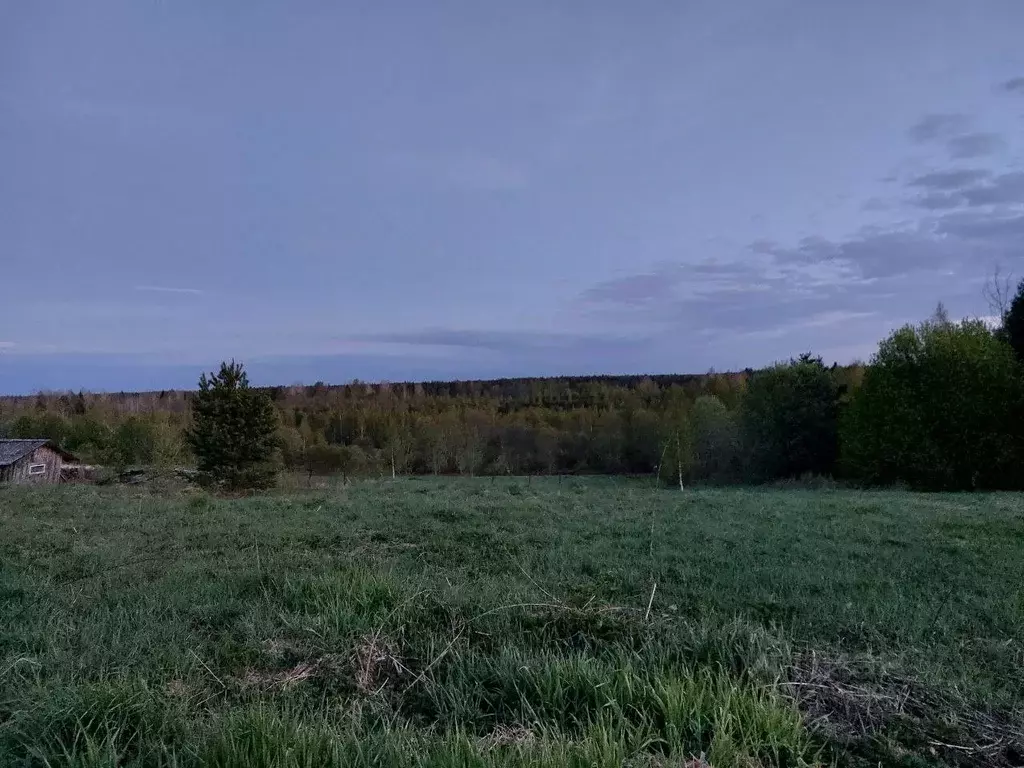 Участок в Карелия, Олонецкий национальный муниципальный район, ... - Фото 2