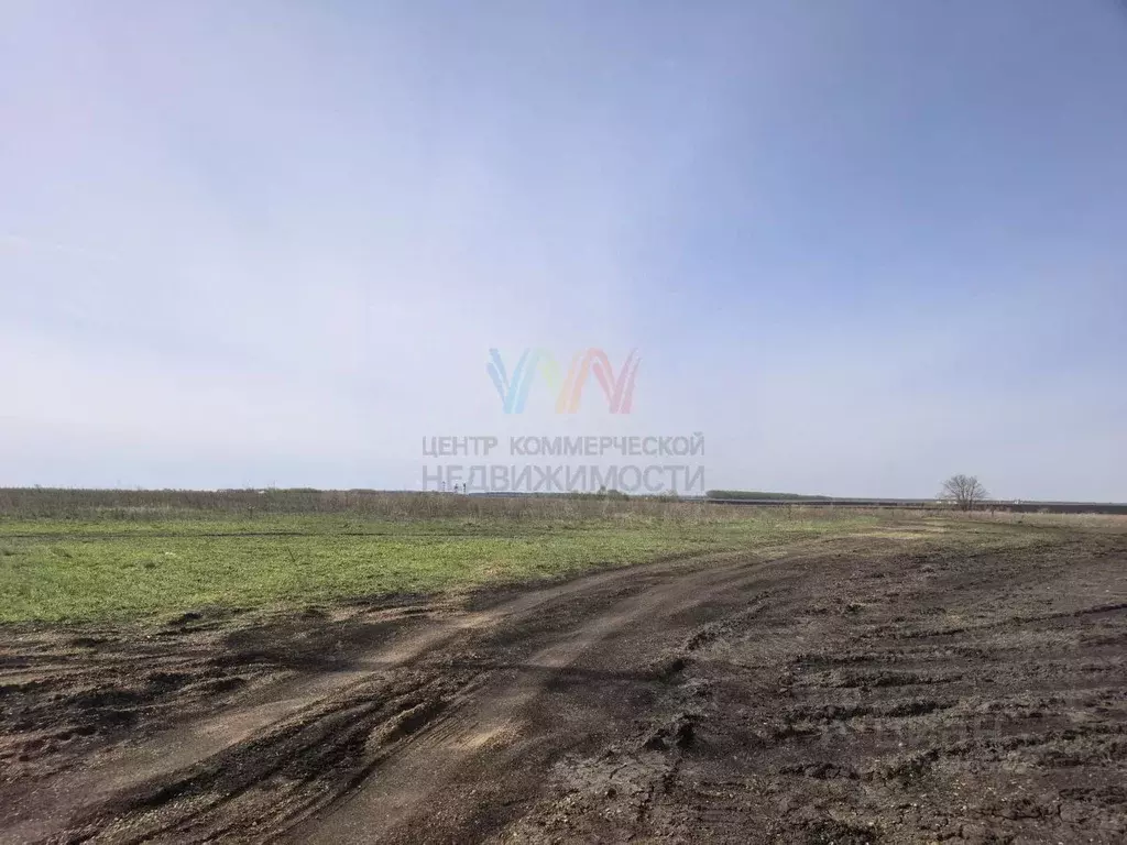 Участок в Башкортостан, Уфимский район, Зубовский сельсовет, с. Зубово ... - Фото 2