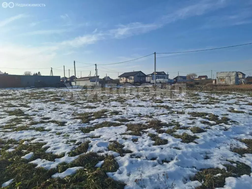 Участок в Искитимский район, Мичуринский сельсовет, СНТ Агролес (10 м) - Фото 2