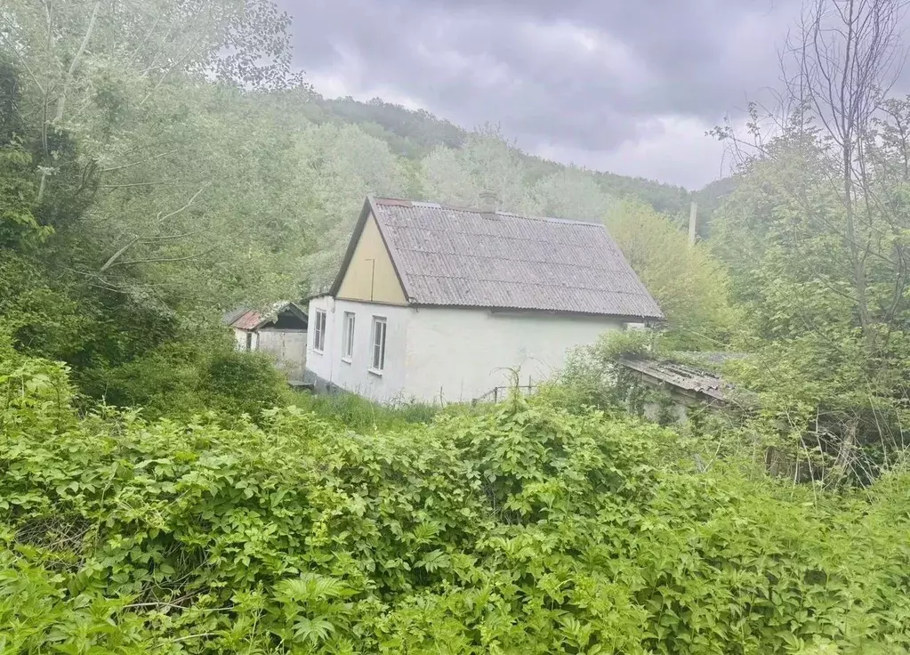 Дом в Краснодарский край, Геленджик городской округ, с. Пшада  (60 м) - Фото 1