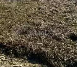 Участок 7,9 сот. (ИЖС) - Фото 1