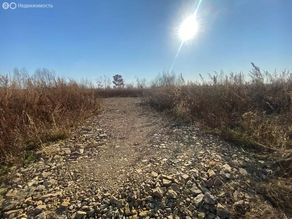 Участок в Уссурийск, СДТ Гиппократ (6.23 м) - Фото 2