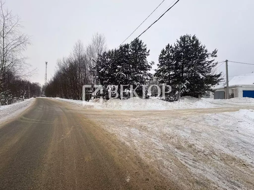 Участок в Костромская область, Костромской район, пос. Никольское ул. ... - Фото 1