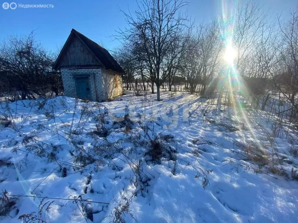 Участок в село Толмачево, СДТ Русь (5 м) - Фото 0