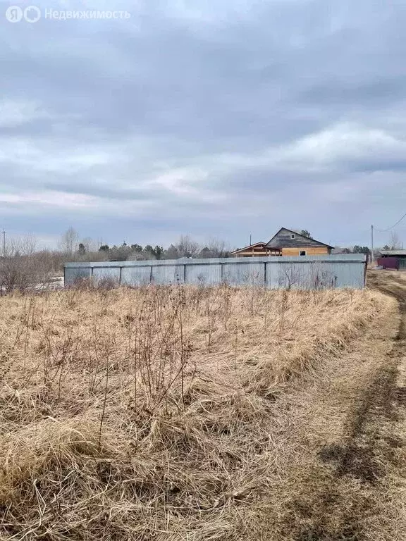 Участок в Колыванский район, СНТ Приобье, 36-й квартал (12 м) - Фото 0