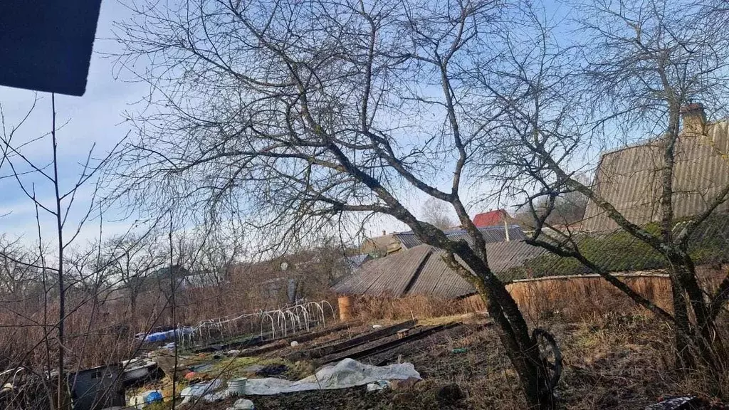 Участок в Тверская область, Торопец Широко-Северная ул. (13.0 сот.) - Фото 1