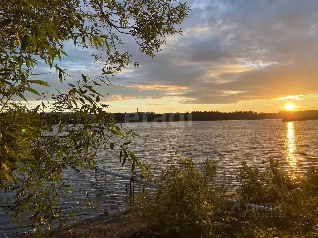 Дом в Ярославская область, Ярославль Волжанин СНТ, дорожка 6-я, 6 (72 ... - Фото 1