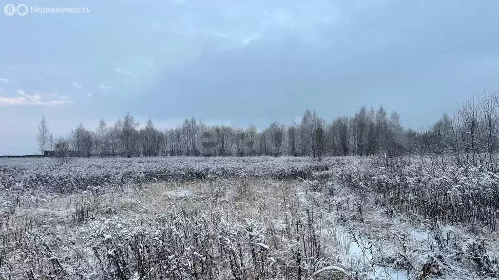 Участок в Тульская область, муниципальное образование Тула, село ... - Фото 1