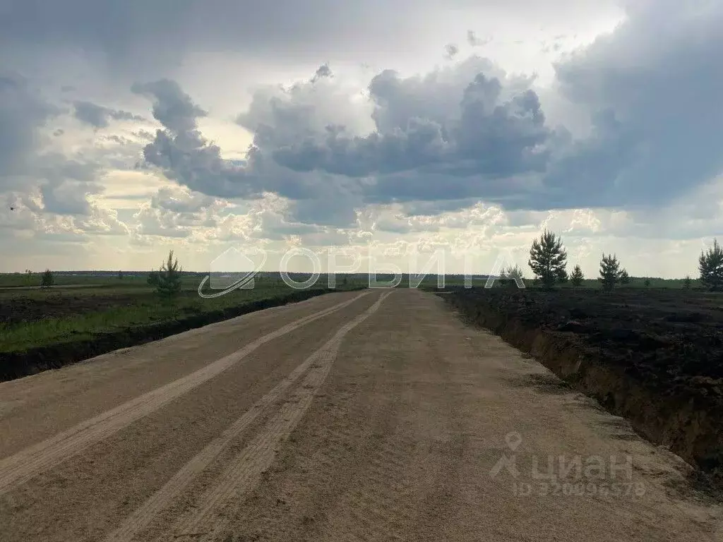 Участок в Тюменская область, Тюменский район, д. Елань ул. Тобольская ... - Фото 0