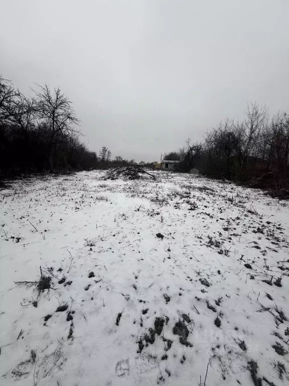 Участок в Белгородская область, Губкин Горняк-Мичуринец СТ, 11 (6.0 ... - Фото 1