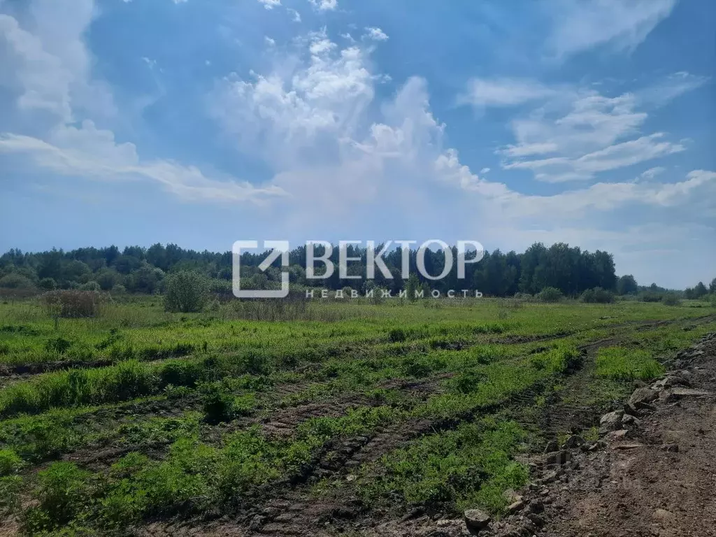 Участок в Костромская область, Кострома Соколиное Гнездо кп,  (12.91 ... - Фото 1
