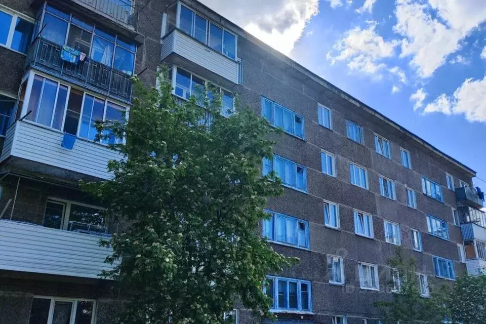 1-к кв. Новосибирская область, Новосибирский район, с. Барышево ул. ... - Фото 1