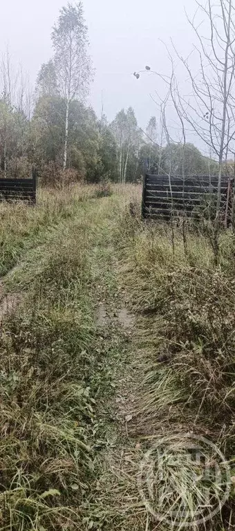 Участок, 15 сот., 0 - Фото 1