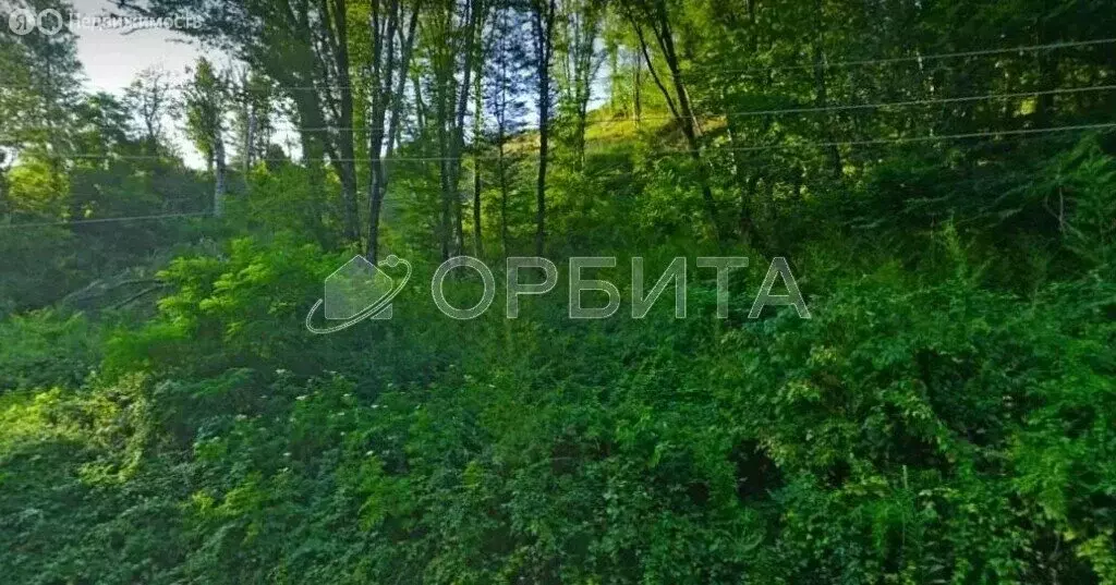 Участок в Сочи, Адлерский район (8 м) - Фото 1