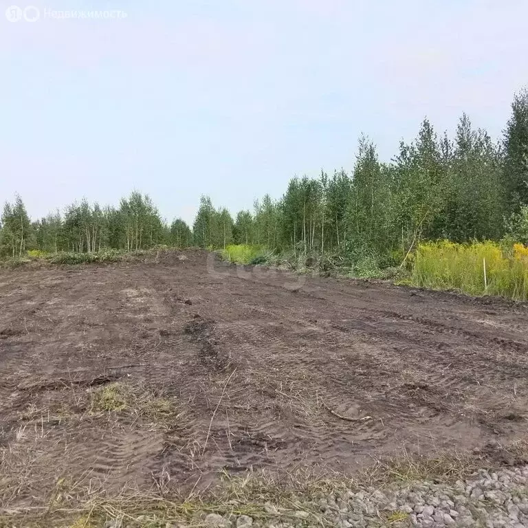 Участок в Липецк, Георгиевская улица (11 м) - Фото 1