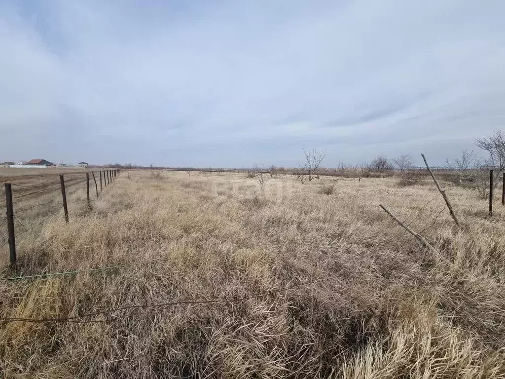 Участок в Волгоградская область, Дубовка ул. Имени Шолохова (6.7 сот.) - Фото 0