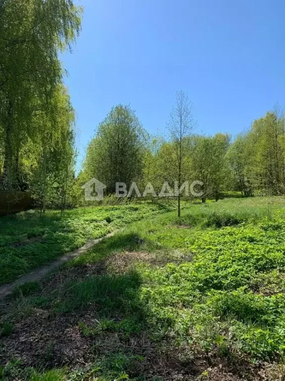Участок в Ленинградская область, Всеволожский район, Колтушское ... - Фото 1