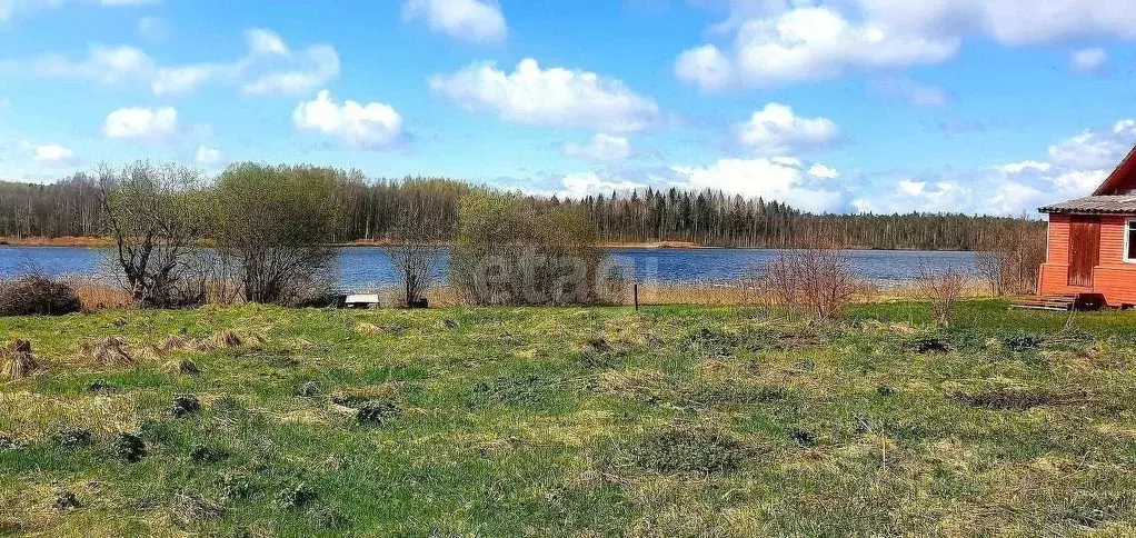 Участок в Вологодская область, Кирилловский муниципальный округ, д. ... - Фото 1