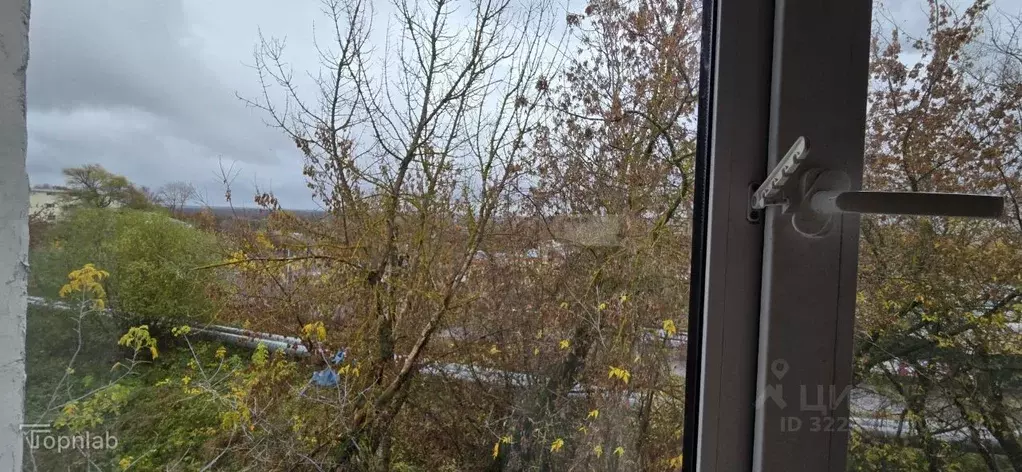 Комната Владимирская область, Владимир Большая Нижегородская ул., 104 ... - Фото 1