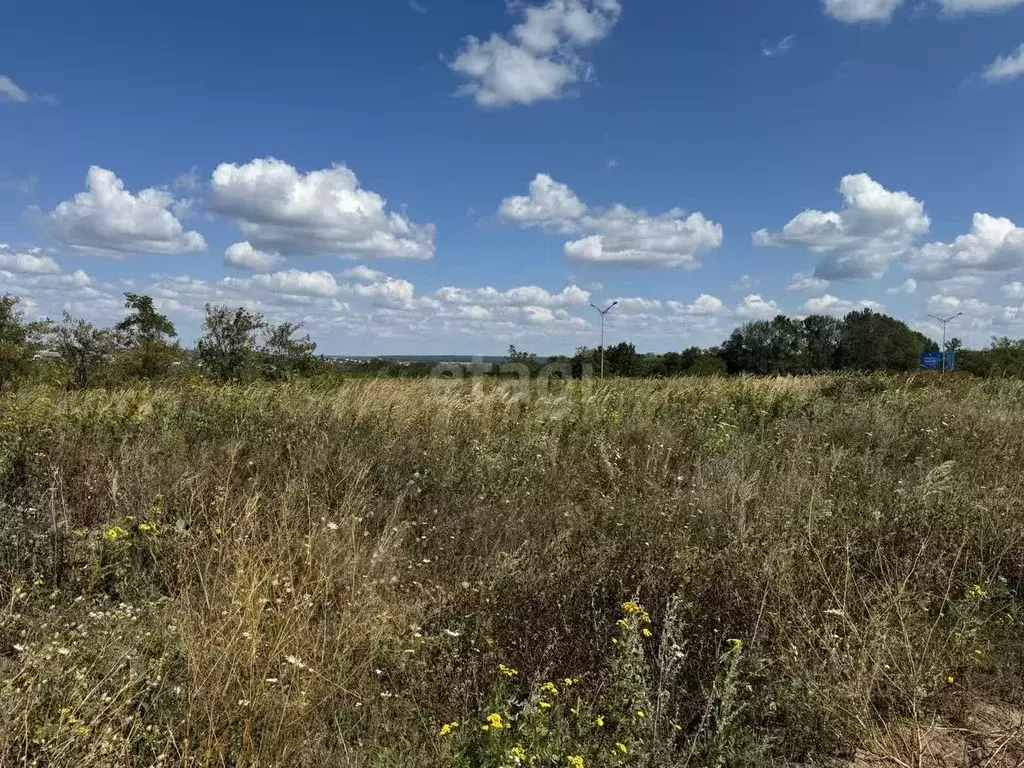 Участок в Белгородская область, Белгородский район, Комсомольское ... - Фото 0
