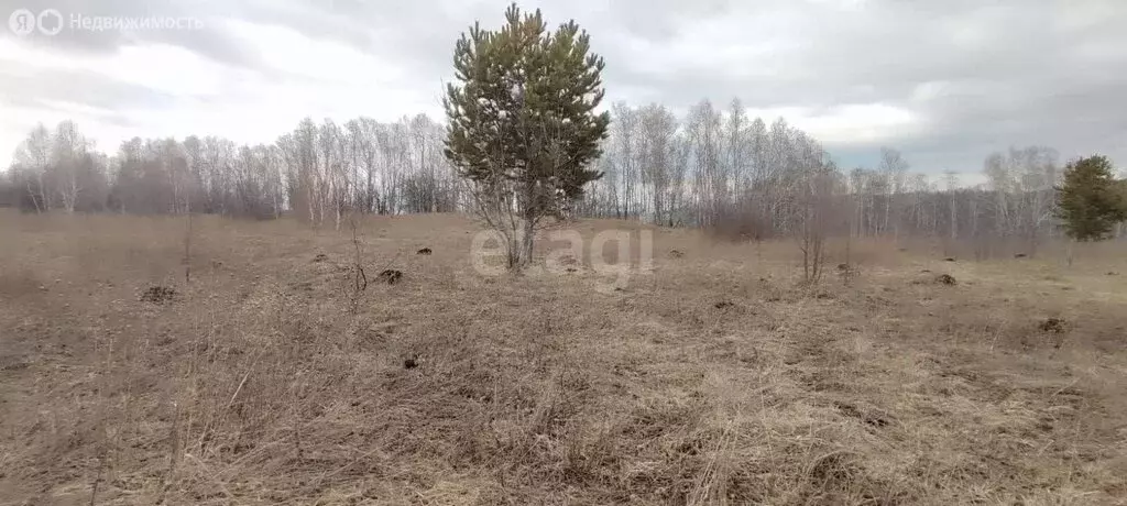 участок в чемальский район, село турбаза катунь (20 м) - Фото 1