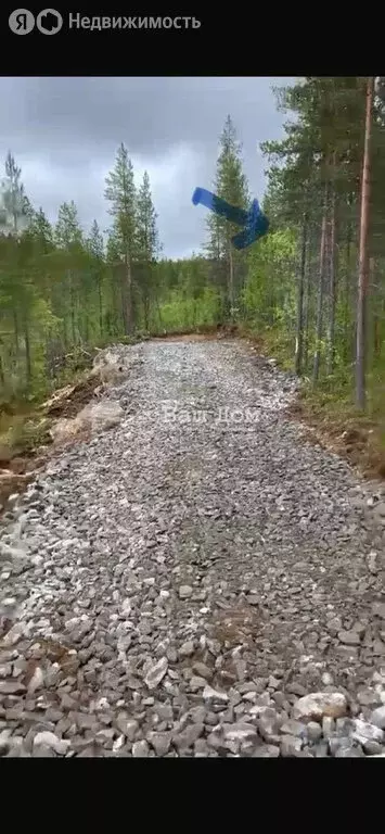 Участок в Мурманская область, Кольский муниципальный округ, село ... - Фото 1