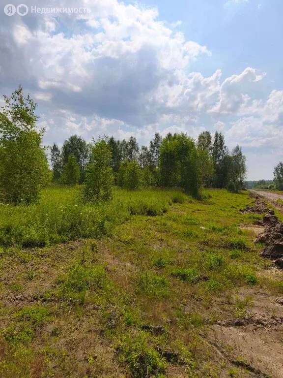 Участок в Московская область, Раменский муниципальный округ, ... - Фото 1