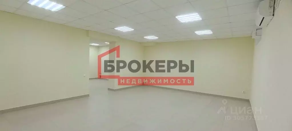 Помещение свободного назначения в Севастополь ул. Челнокова, 27 (40 м) - Фото 1