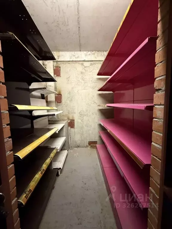 Гараж в Московская область, Богородский городской округ, д. Щемилово ... - Фото 1