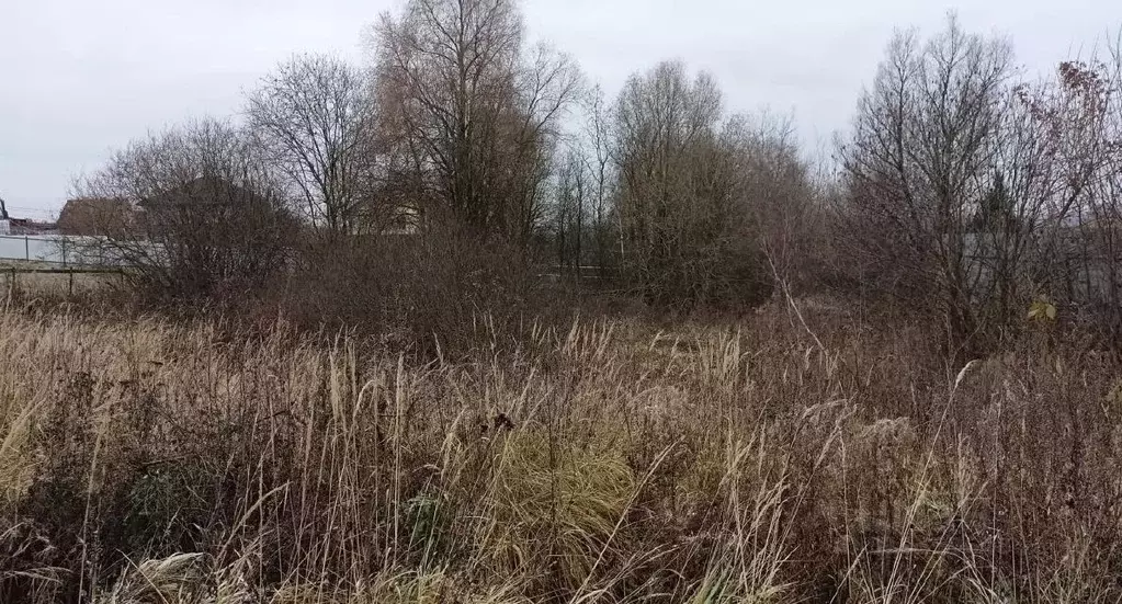 Участок в Московская область, Дмитровский городской округ, д. ... - Фото 0