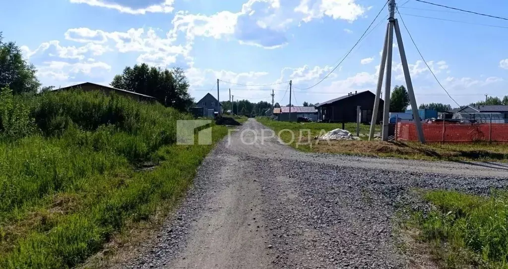 Участок в Новосибирская область, Новосибирский район, Барышевский ... - Фото 2