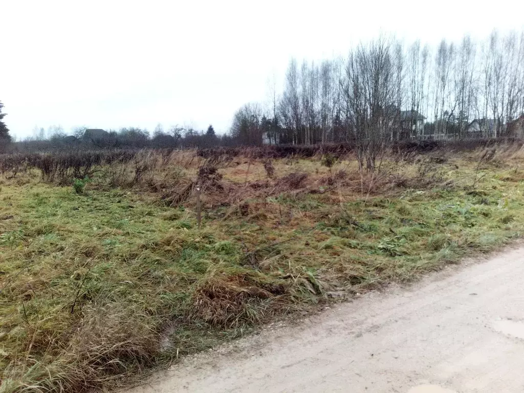 Участок в Псковская область, Псковский район, Логозовская волость, д. ... - Фото 1