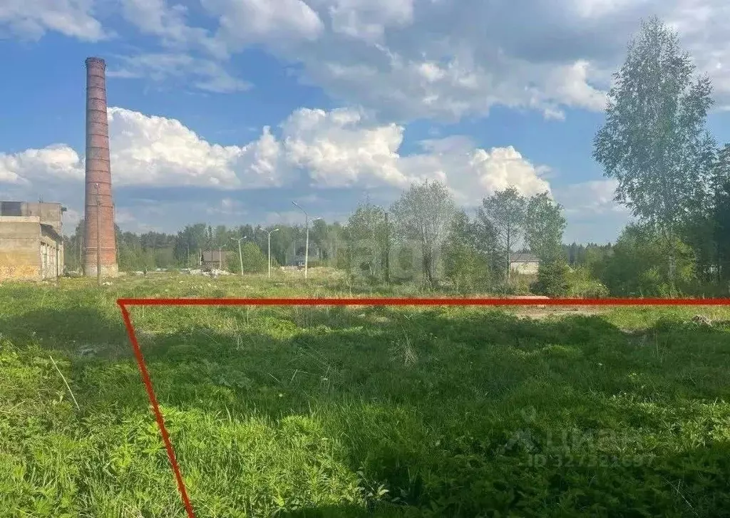 Участок в Ленинградская область, Сертолово Всеволожский район, Черная ... - Фото 1