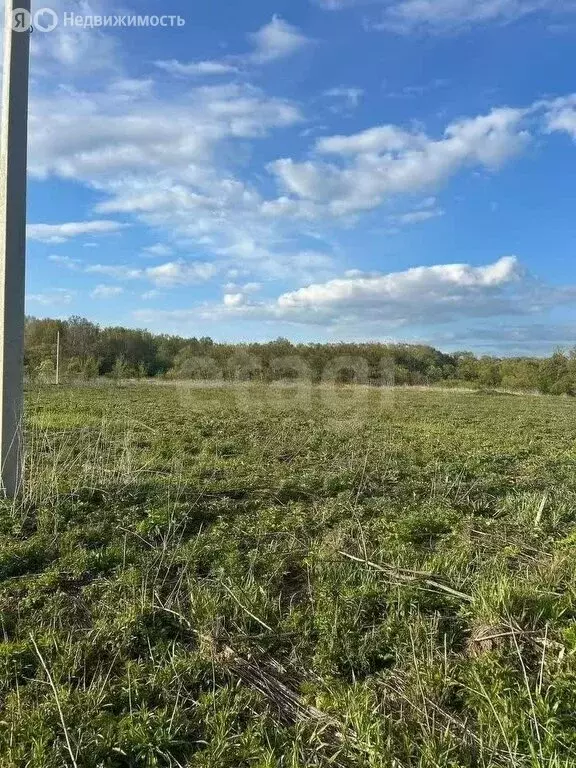 Участок в Медвенка, коттеджный посёлок Ивановка (9.7 м) - Фото 2