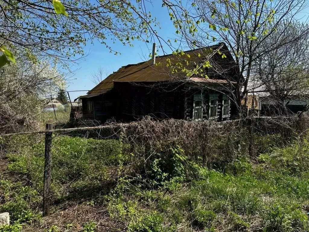 Дом в Пензенская область, с. Бессоновка ул. Шевченко, 17 (25 м) - Фото 1