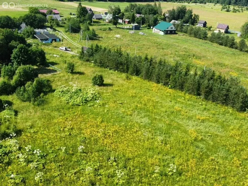 Участок в Волосовский район, Большеврудское сельское поселение, ... - Фото 1