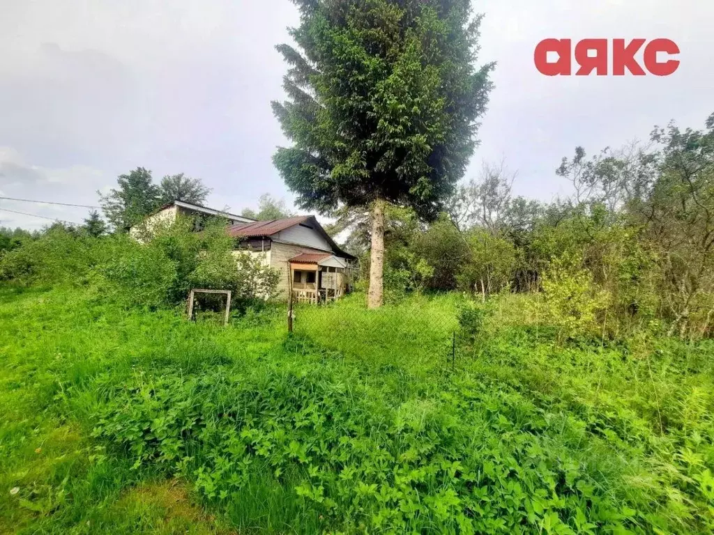 Дом в Ярославская область, Некрасовское с/пос, д. Горки 69 (30 м) - Фото 2