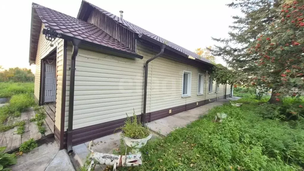 Дом в Амурская область, Ивановский муниципальный округ, село ... - Фото 1