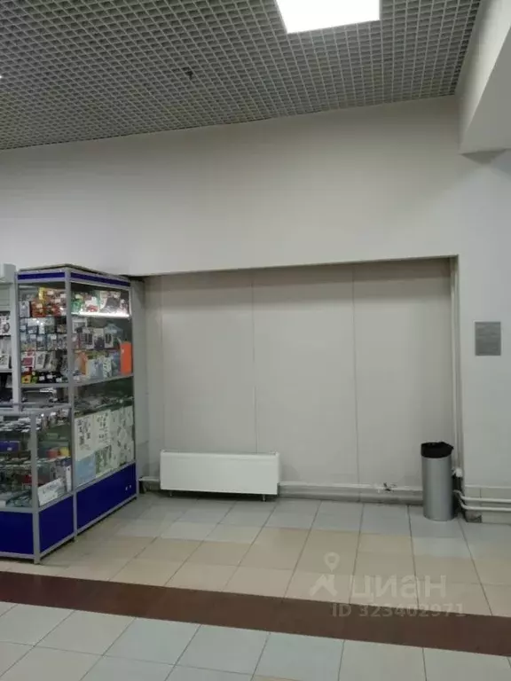 Торговая площадь в Челябинская область, Челябинск Салютная ул., 27 (4 ... - Фото 1