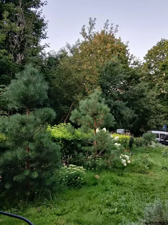 2-к кв. Московская область, Одинцовский городской округ, Лесной ... - Фото 2
