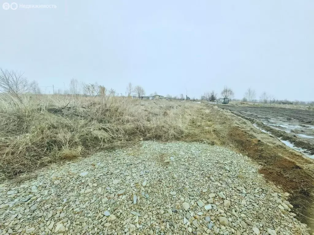 Участок в Арсеньев, улица Чапаева (15.6 м) - Фото 2