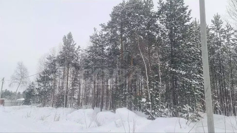 Участок в Ханты-Мансийский АО, Сургутский район, Солнечный с/пос, ... - Фото 0