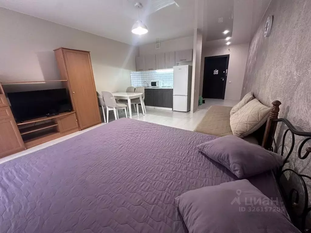 Студия Новосибирская область, Новосибирск ул. Семьи Шамшиных, 90/5 ... - Фото 1