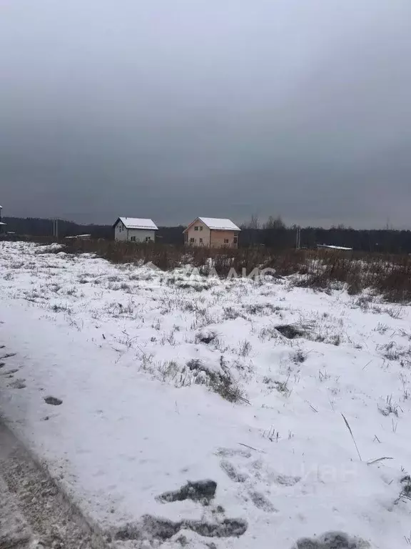 Участок в Владимирская область, Владимир д. Шепелево, ул. Центральная, ... - Фото 1