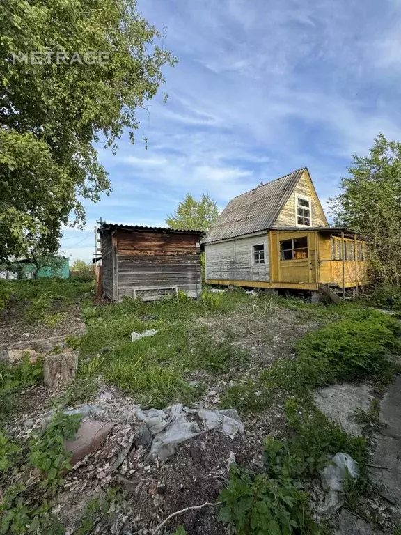 Участок в Новосибирская область, Новосибирск Тополек садовое ... - Фото 1