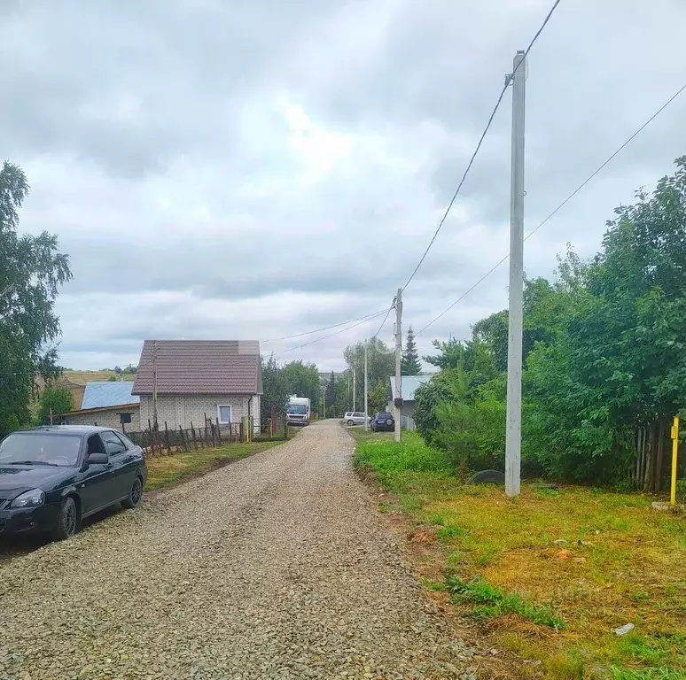 Участок в Алтайский край, Барнаул городской округ, Поселок Казенная ... - Фото 2