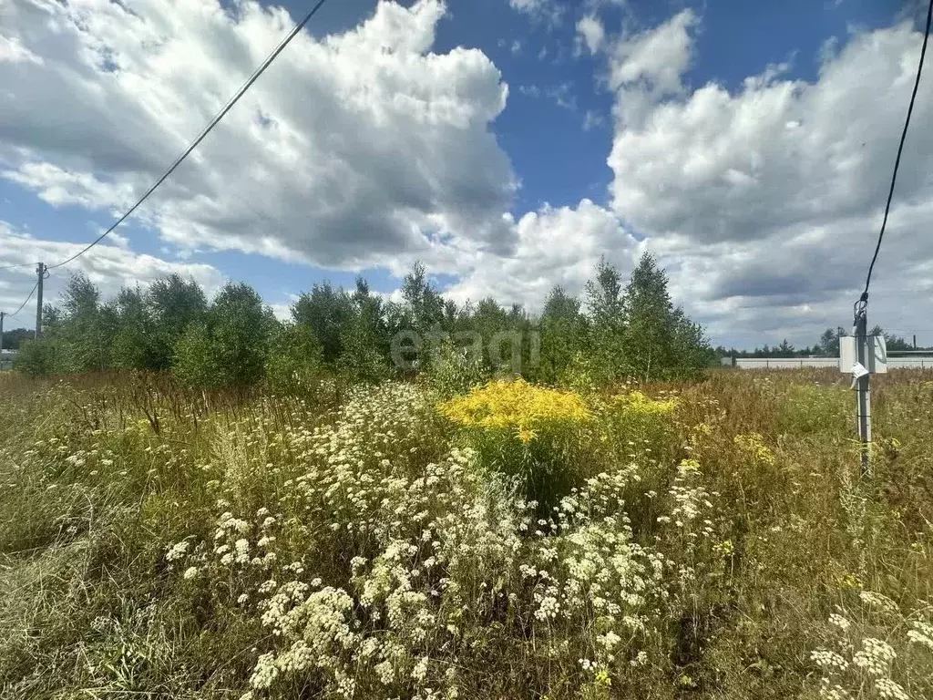 Участок в Нижегородская область, Богородский муниципальный округ, д. ... - Фото 0