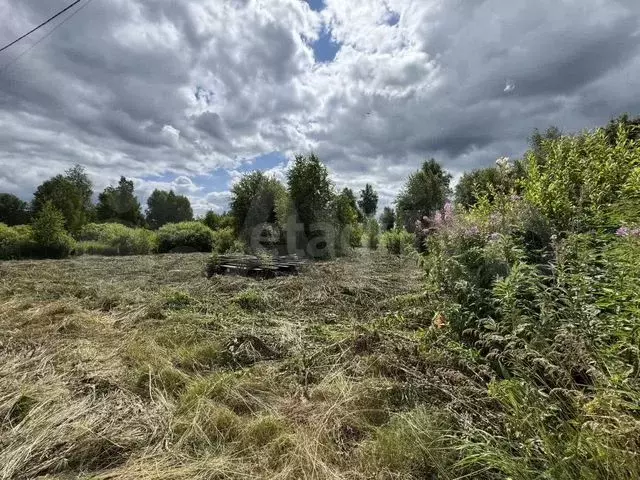 Участок 4,5 сот. (СНТ, ДНП) - Фото 0