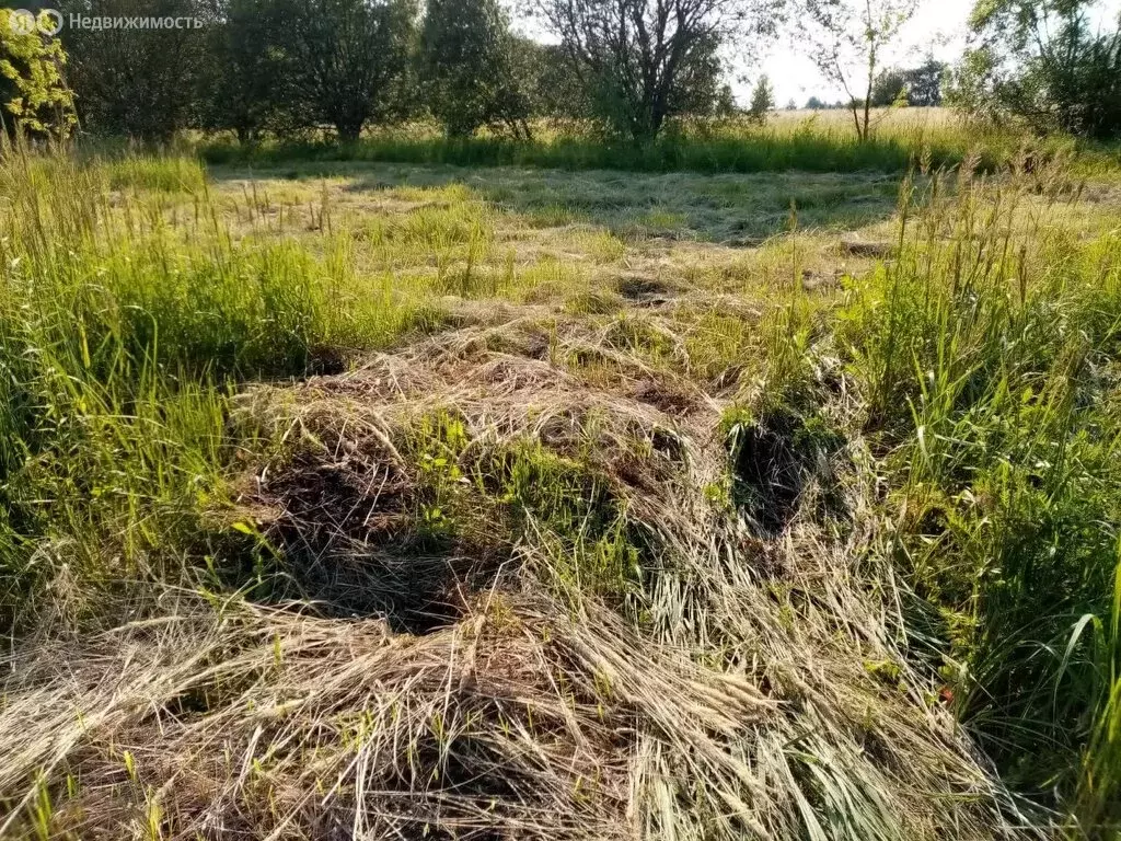 Участок в село Лаврово, 1-я Колхозная улица (24 м) - Фото 0